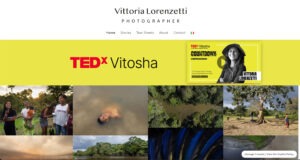 https://www.vittorialorenzetti.com